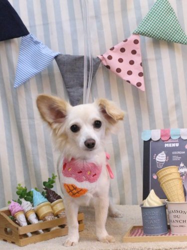 20250522めるちゃん